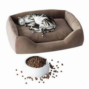 现代宠物猫3D模型下载